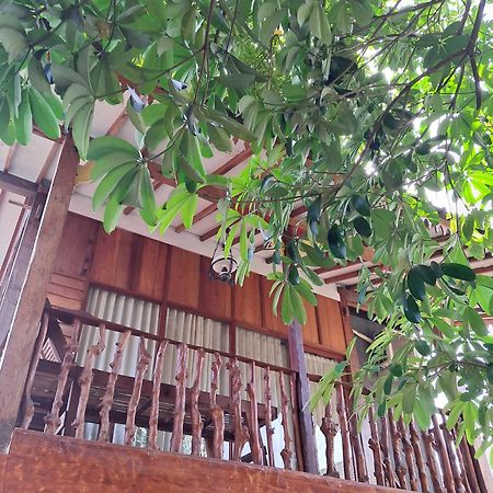 Diana'S Homestay Banyuwangi  Extérieur photo