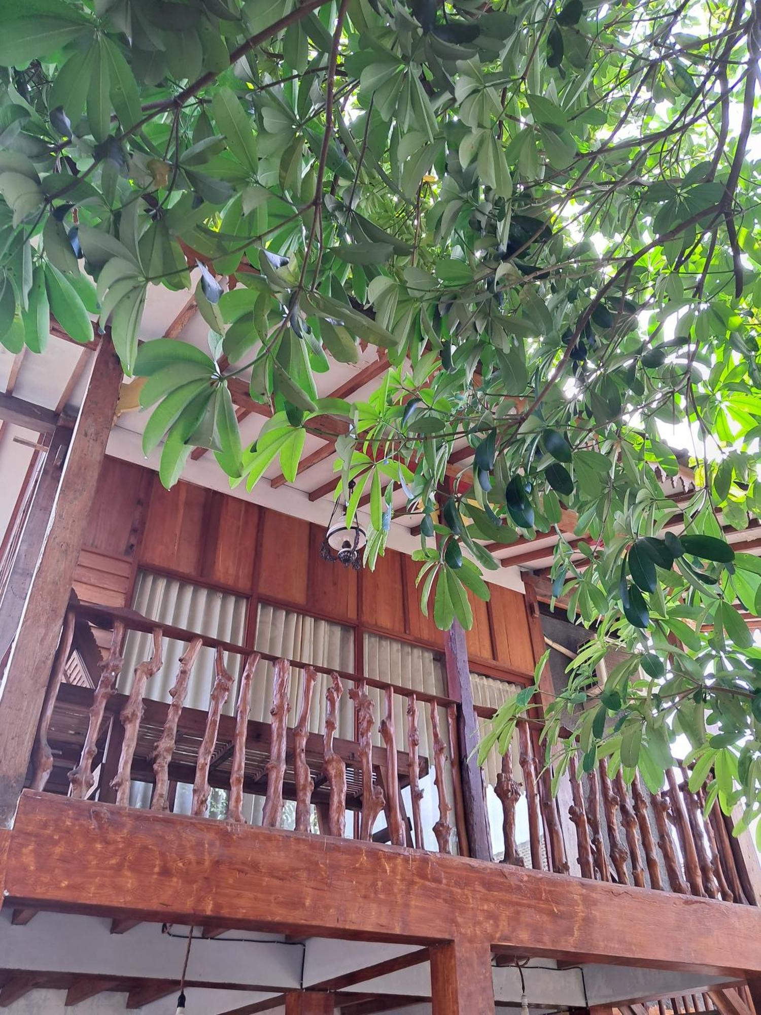 Diana'S Homestay Banyuwangi  Extérieur photo
